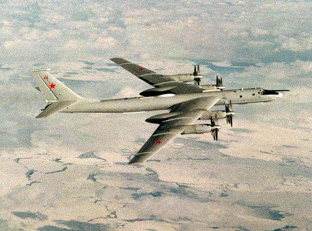 -95 Bear